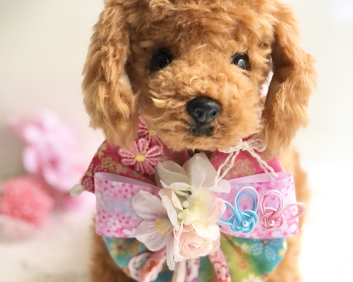 d3554b239813daedfa1f36d02b50c4