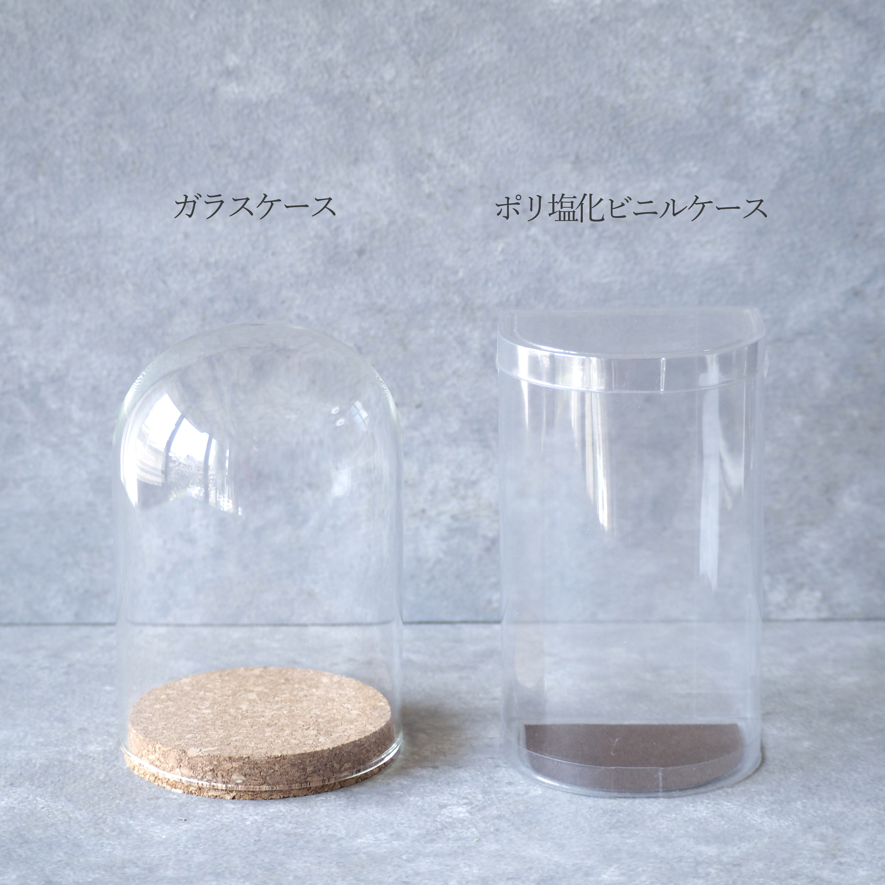 卵に眠る花の箱庭『春の野原/桜』