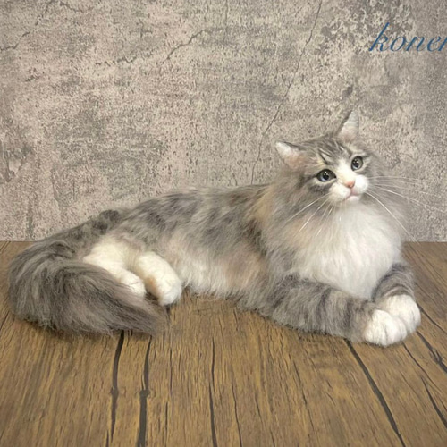 koneri 羊毛フェルト オーダーメイド 羊毛フェルト koneri 羊毛