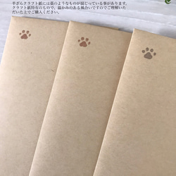 猫のレターセット(日本猫３種) 10枚目の画像