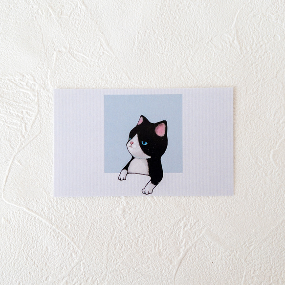 メッセージカード封筒セット（窓ぎわの子猫） 5枚目の画像