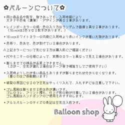 One balloon 2枚目の画像