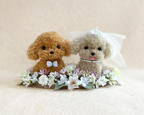 26e85d58c58123d13a3da981dd4ee2