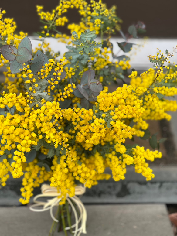 フレッシュミモザとユーカリの花束 ドライフラワースワッグ