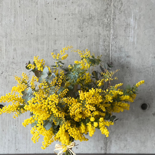 フレッシュミモザとユーカリの花束 ドライフラワースワッグ フレッシュミモザとユーカリの花束 ドライフラワースワッグ
