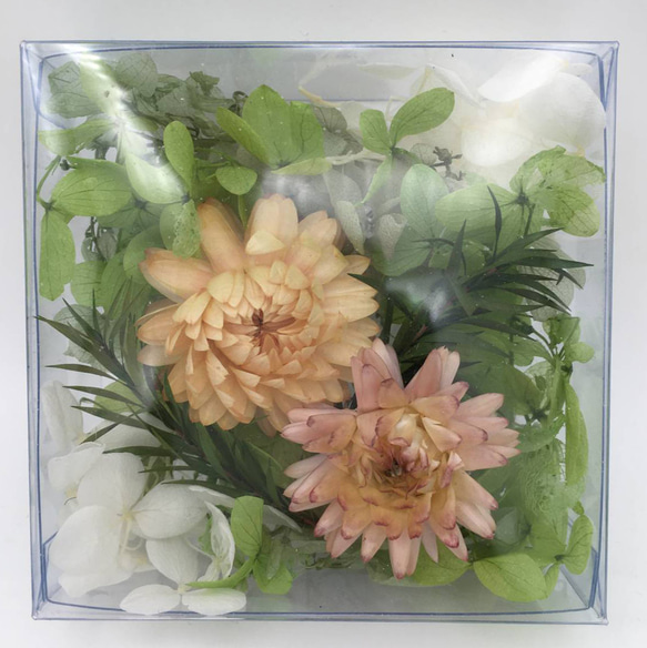 プリザーブドフラワー クリア ボックス シルバーデイジー アジサイ 飾り インテリア ギフト 1枚目の画像