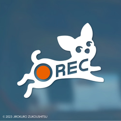 チワワ「REC」ステッカー 1枚目の画像