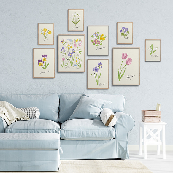 スミレの花のポスター　/ i1246 / チューリップ、パンジー、スミレ、アイリスなど　ボタニカルポスター 11枚目の画像