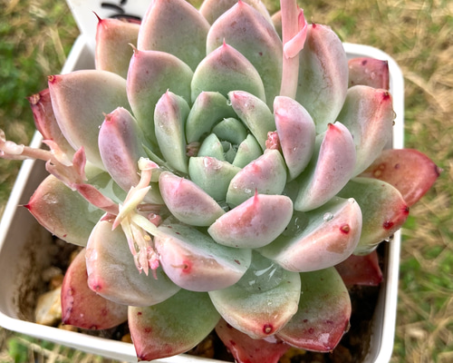 127c6b9f22b381820647fb1426fd29