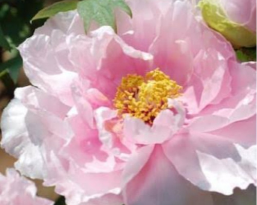 6f85b6352004c4d3475191fca39682