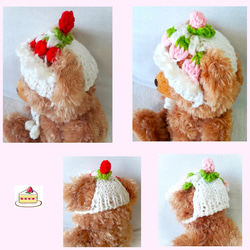 犬服  【新作】小型犬 猫  耳が出るイチゴのショートケーキ帽子／白　送料無料 igc01 4枚目の画像