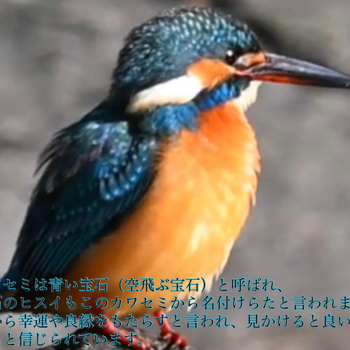幸運の鳥カワセミのサンキャッチャー 翡翠 置き型タイプ サン