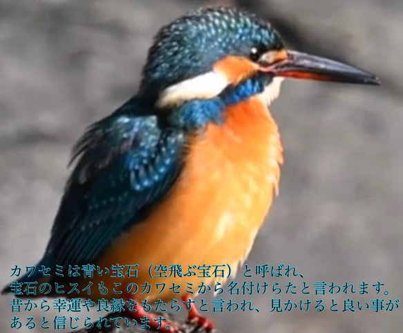 幸運の鳥カワセミのサンキャッチャー  翡翠　置き型タイプ 9枚目の画像