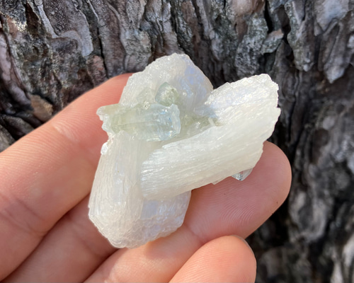 788c01a6d9a35a131718a6d86d9dec