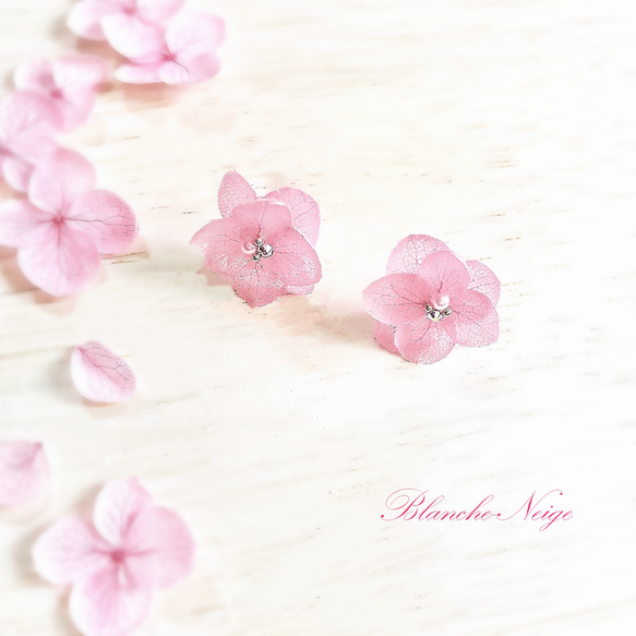 華やか紫陽花ピアス～cherryblossom～ 1枚目の画像