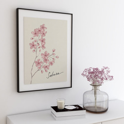 サクラのポスター　/ i1256 / ミモザ、スイセン、たんぽぽ、ムスカリ、桜、忘れな草など　ボタニカルポスター 8枚目の画像