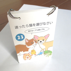 日めくりカレンダー「ねこのかがやくことば」　(またまた偉猫シリーズ！いつからでも使えます） 6枚目の画像