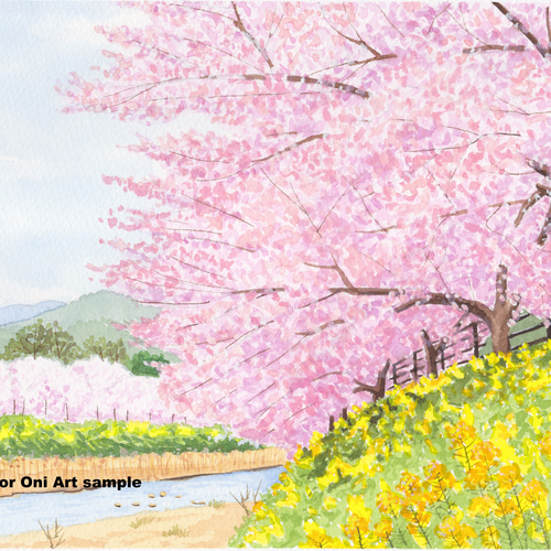 河津桜」透明水彩画 原画 風景画 額縁付 A4サイズ 絵画 Oni 通販