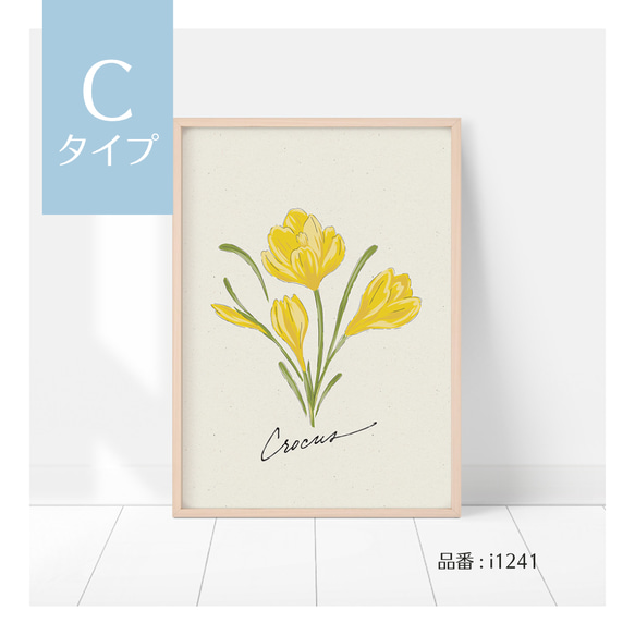 選べる！春の花のポスター　チューリップ、パンジー、スミレ、アイリスなど　ボタニカルポスター 7枚目の画像