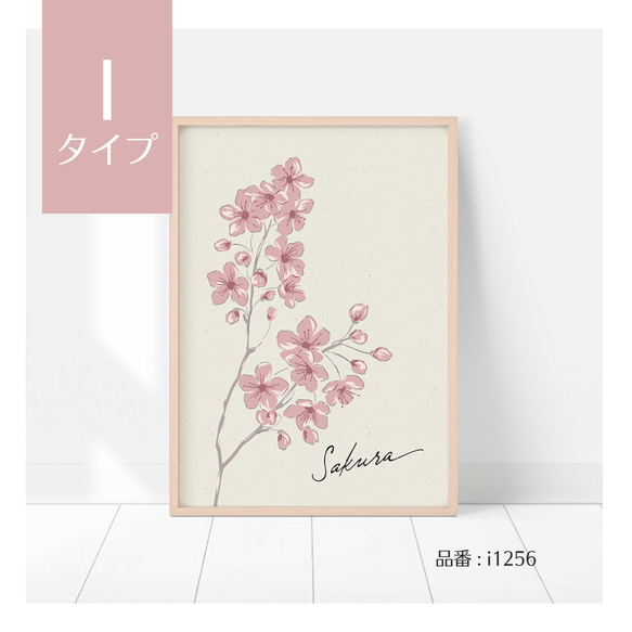 選べる！春の花のポスター　ミモザ、スイセン、たんぽぽ、ムスカリ、桜、忘れな草など　ボタニカルポスター 19枚目の画像