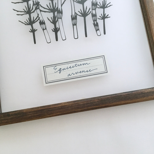 植物標本シリーズ】ツクシとスギナの切り絵フレーム タペストリー