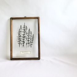 絵つなぎフレーム入り7枚セット インテリアアートフレーム 【卓上・壁掛両用・縦横両用】 KP-31414 KP