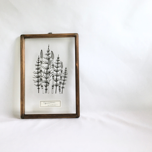 植物標本シリーズ】ツクシとスギナの切り絵フレーム タペストリー