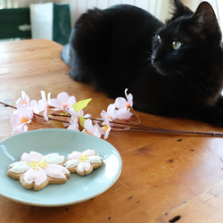 サクラ２ピース　アイシングクッキー 2枚目の画像