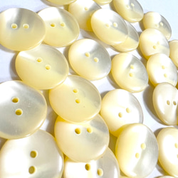 美しい　ノーマル　クリーム調　ぼたん　サイズ豊富 4枚目の画像