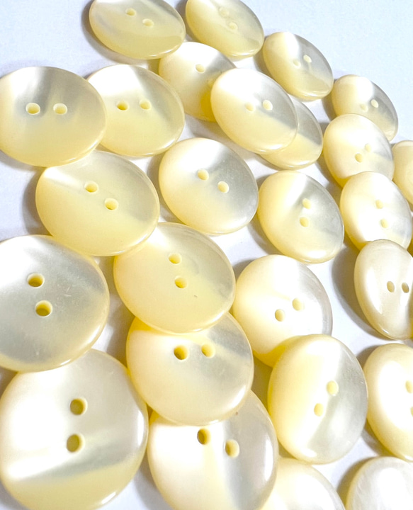 美しい　ノーマル　クリーム調　ぼたん　サイズ豊富 4枚目の画像