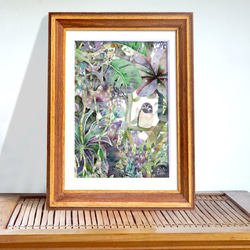 「森のフクロウ」　伊豆シャボテン公園　フクロウ　伊豆高原　　イラスト 3枚目の画像
