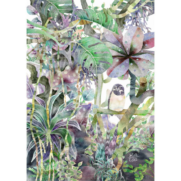 「森のフクロウ」　伊豆シャボテン公園　フクロウ　伊豆高原　　イラスト 1枚目の画像