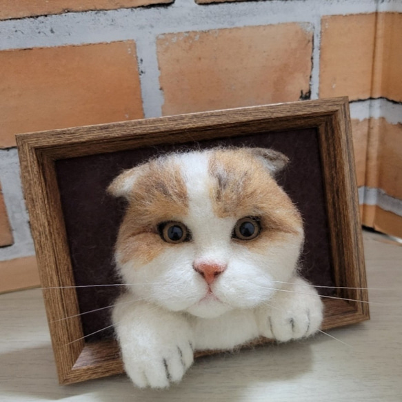 羊毛フェルト 猫 にゃんこ スコティッシュフォールド うちの子
