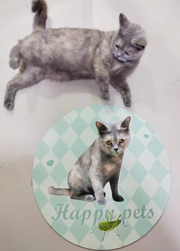 世界に一つだけの吸水マット　名入れOK　 動物　犬　猫　うさぎ　鳥　ハムスタ-　ペット　インテリア　メモリアル 4枚目の画像