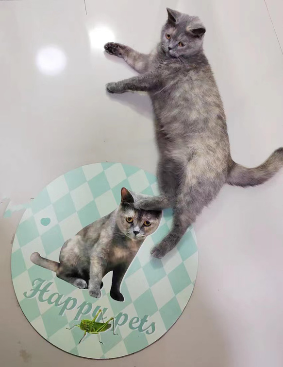 世界に一つだけの吸水マット　名入れOK　 動物　犬　猫　うさぎ　鳥　ハムスタ-　ペット　インテリア　メモリアル 3枚目の画像