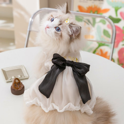 猫服 可愛い 綺麗なレースワンピース プリンセス風 猫ウェア 猫ワンピース 蝶結び付き 2枚目の画像