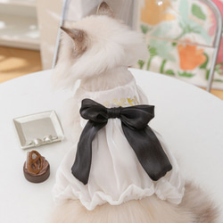 猫服 可愛い 綺麗なレースワンピース プリンセス風 猫ウェア 猫ワンピース 蝶結び付き 1枚目の画像