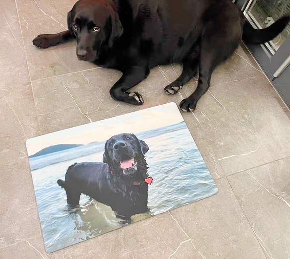 世界に一つだけの吸水マット　名入れOK　 動物　犬　猫　うさぎ　鳥　ハムスタ-　ペット　インテリア　メモリアル 2枚目の画像