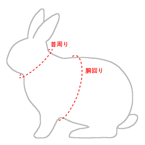 うさぎ用ハーネス<ミントデージー> 11枚目の画像