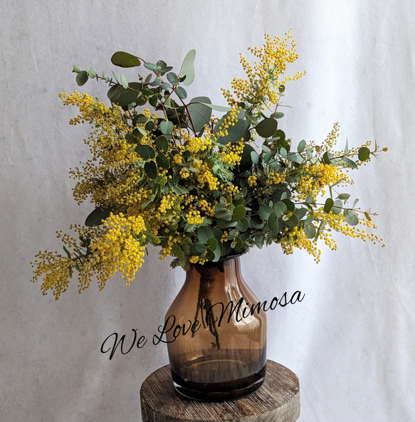 2025年の販売スタート】愛しのミモザとユーカリの花瓶付きドライ