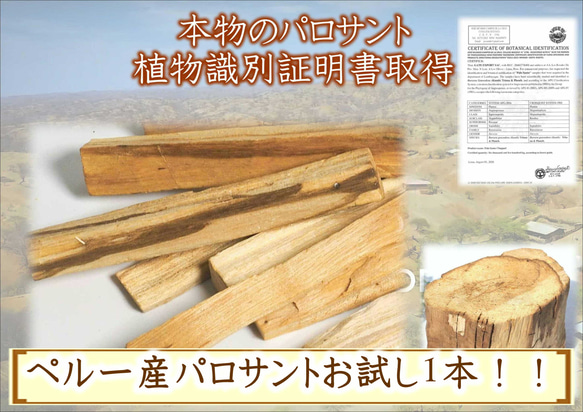 本物証明の鑑定書取得品！！！ペルー産☆パロサント1本☆活用