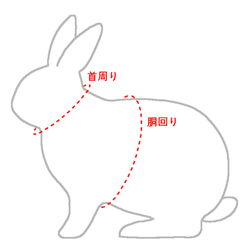 うさぎ用ハーネス<イエロー チェック リボン> 9枚目の画像