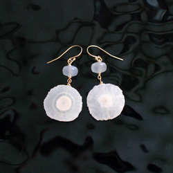 Spring White / Solar &amp; Moon (earring) 太陽能石英和月光石耳環 第8張的照片