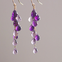 fusa : twin Amethyst（earring） 2色のアメシストを、葡萄のように連ねた耳飾り 1枚目の画像