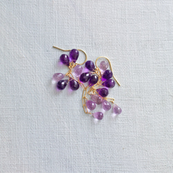 fusa : twin Amethyst（earring） 2色のアメシストを、葡萄のように連ねた耳飾り 2枚目の画像