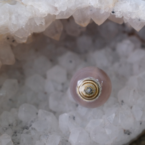 ゴビ石−1056 ゴビ瑪瑙　眼石　パワースートン ゴビ石−1056 ゴビ瑪瑙眼石パワースートン