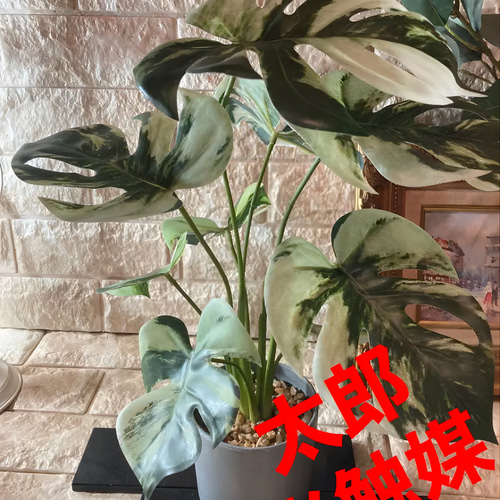 光触媒 人工観葉植物 ウォールグリーン フェイク フラワー