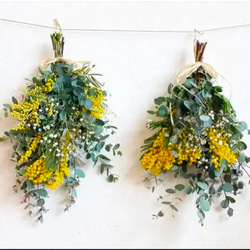 サイズ選べる ミモザリース *ドライフラワー* リース ＊COCO HANA