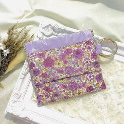 ぽいっしゅポーチ ポケットティッシュケース ゴミ入れ ポーチ Lyra