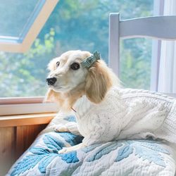 【トリプルリボン】犬用リボン　わんこリボン　犬リボン　犬　バレッタ　紫 6枚目の画像